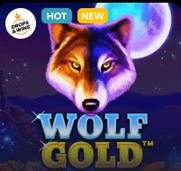Wolf Gold at Just Casino